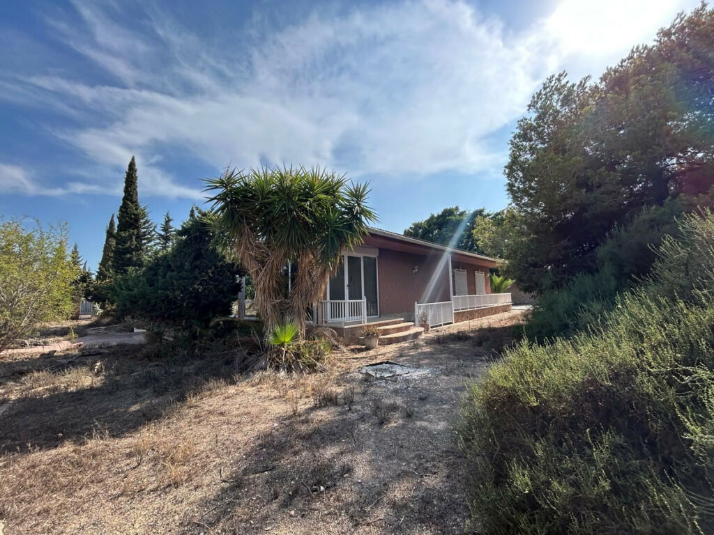 Detached Villa La Marina Alicante - image 2