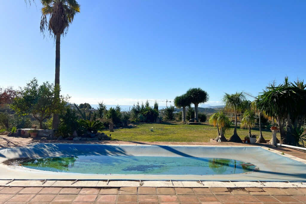 Detached Villa Estepona Málaga - image 2