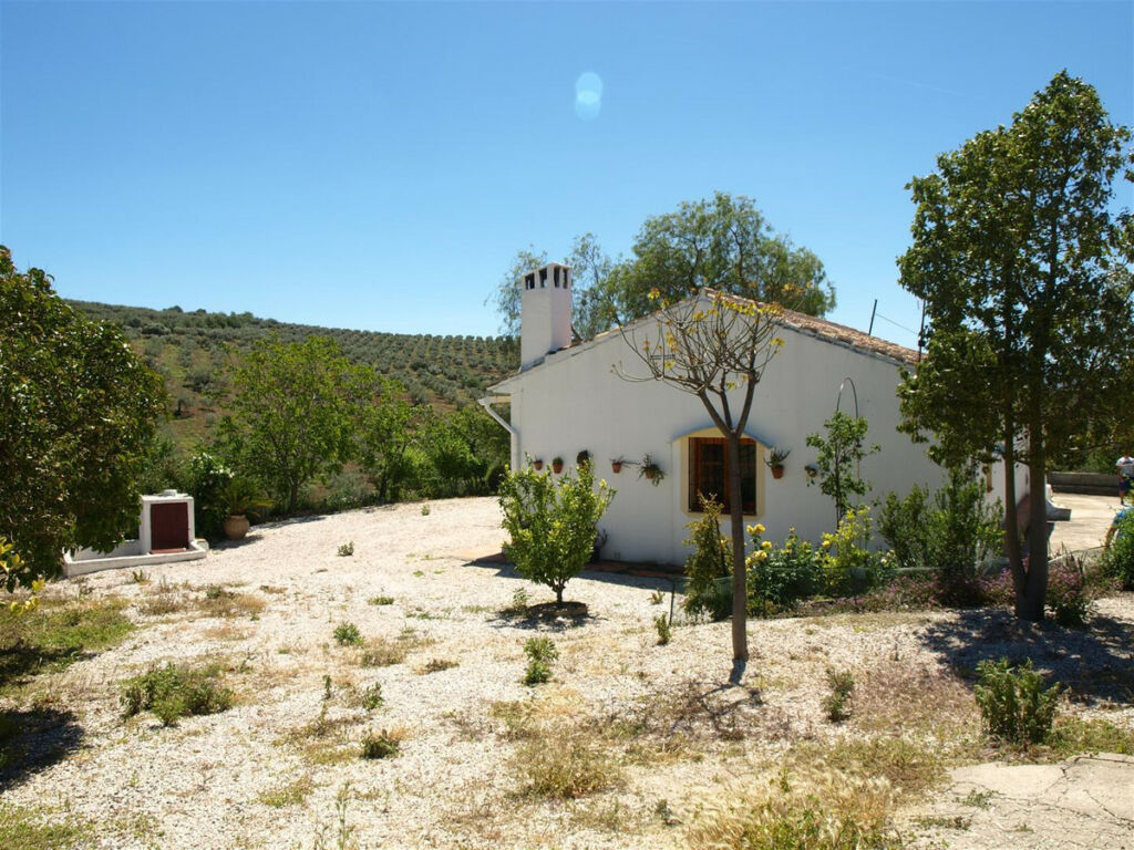 Finca - Cortijo Riogordo Málaga - image 2