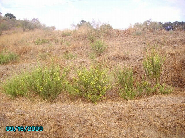 Residential Plot Vélez-Málaga Málaga - image 2