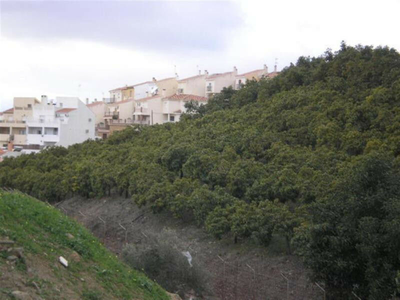Land Vélez-Málaga Málaga - image 2