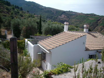 Finca - Cortijo Canillas de Aceituno Málaga - image 2