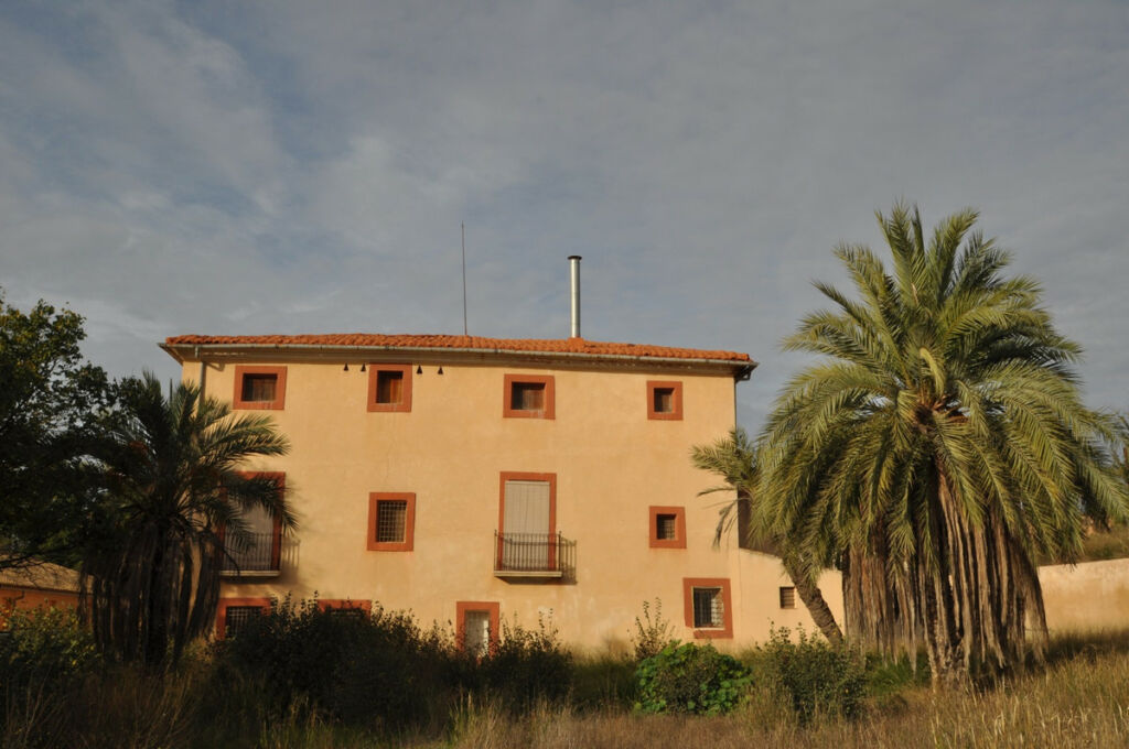 Finca - Cortijo Pinoso Alicante - image 2