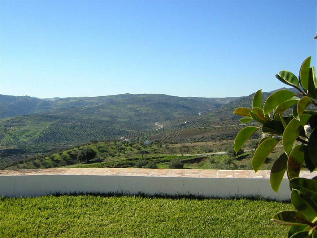 Detached Villa Riogordo Málaga - image 2