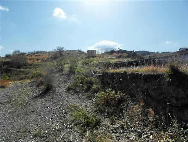 Finca - Cortijo Vélez-Málaga Málaga - image 20