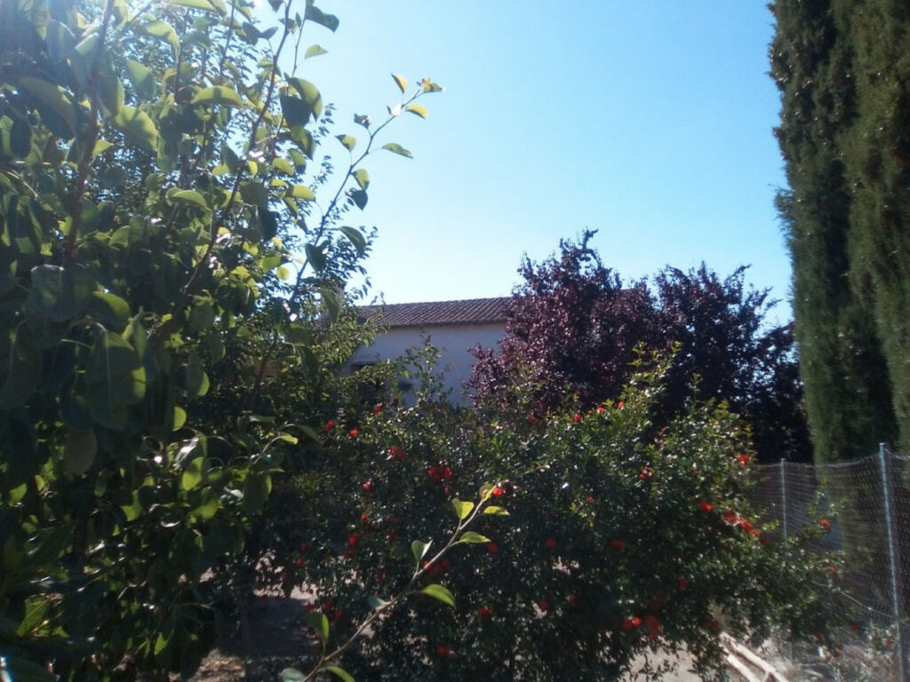Finca - Cortijo Alcaucín Málaga - image 20