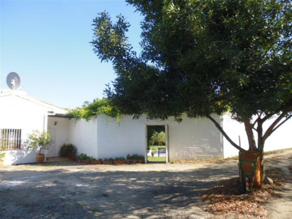 Finca - Cortijo Jimena de la Frontera Cádiz - image 4