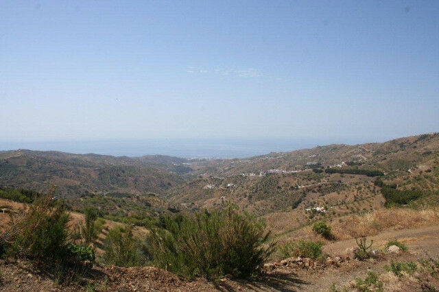Finca - Cortijo El Borge Málaga - image 20