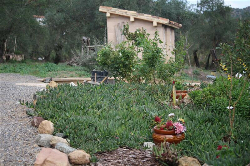 Finca - Cortijo Algodonales Cádiz - image 20