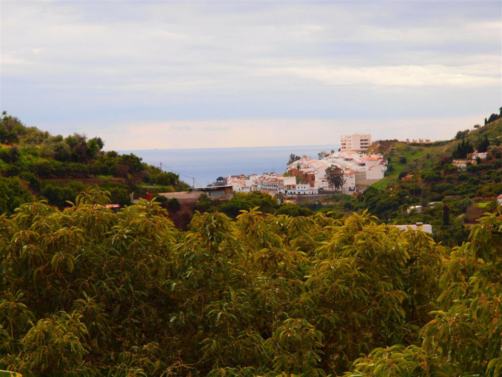 Finca - Cortijo Torrox Málaga - image 20