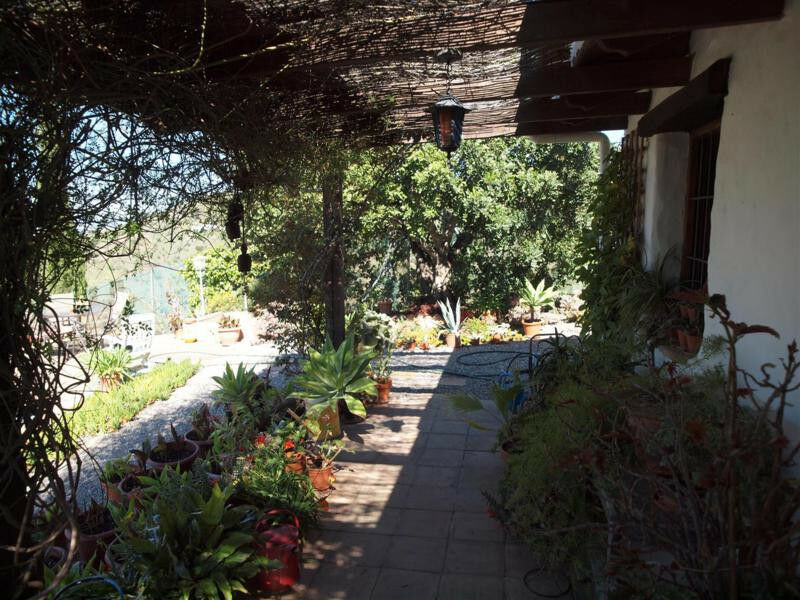 Finca - Cortijo Sedella Málaga - image 21