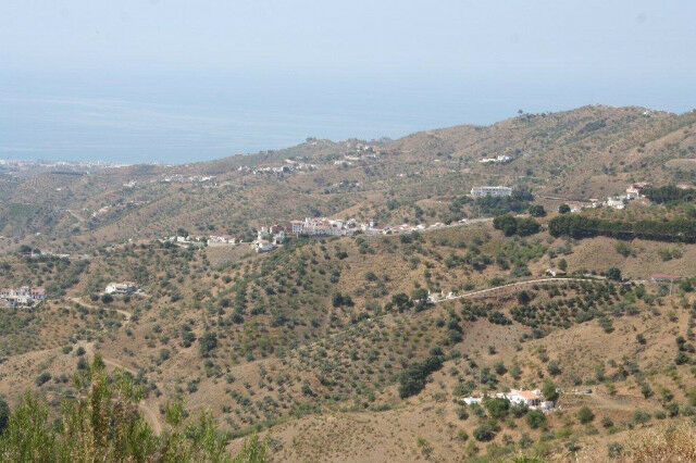 Finca - Cortijo El Borge Málaga - image 21