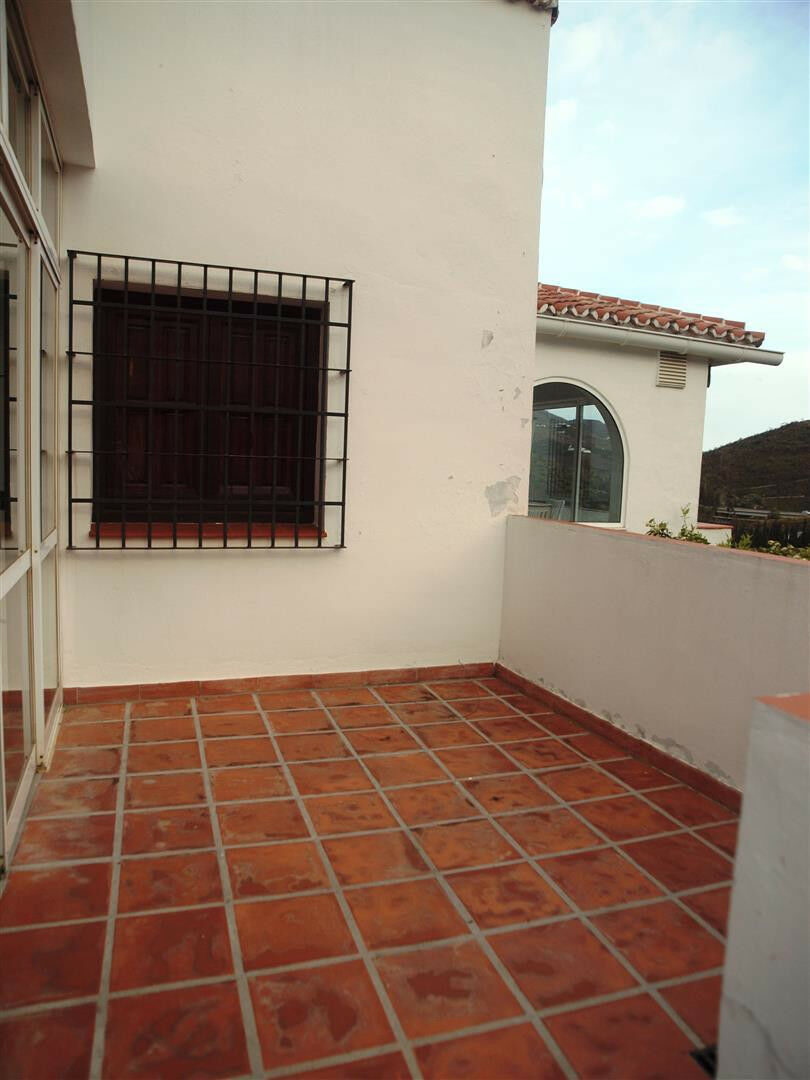 Finca - Cortijo Viñuela Málaga - image 21