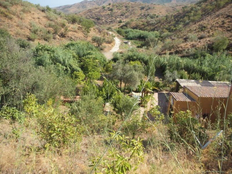 Detached Villa Benagalbon Málaga - image 21