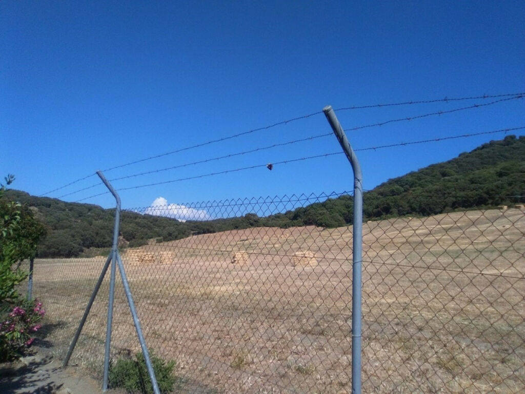 Finca - Cortijo Alcaucín Málaga - image 21