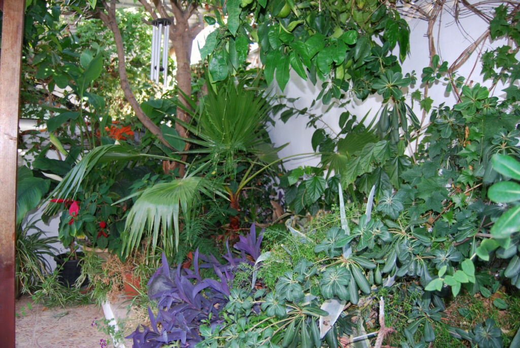 Detached Villa Nerja Málaga - image 21