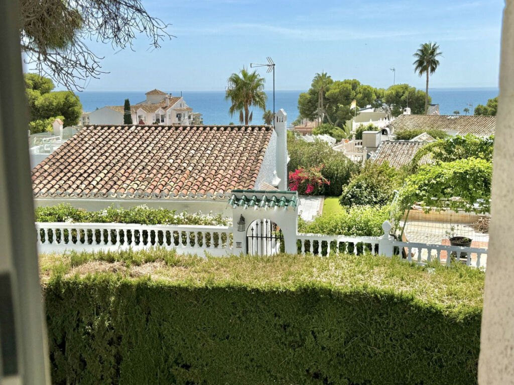 Detached Villa Calahonda Málaga - image 22