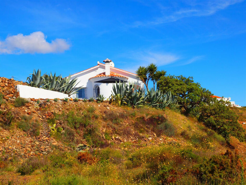 Finca - Cortijo Moclinejo Málaga - image 22