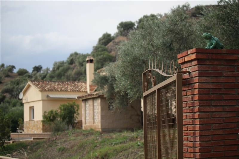 Finca - Cortijo Algodonales Cádiz - image 22