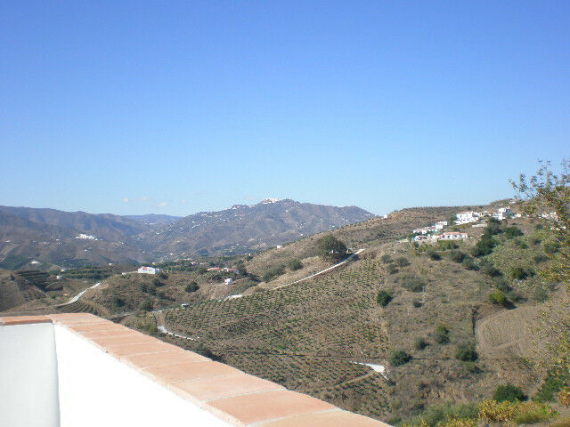 Finca - Cortijo Vélez-Málaga Málaga - image 22