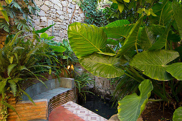 Finca - Cortijo Jimena de la Frontera Cádiz - image 22