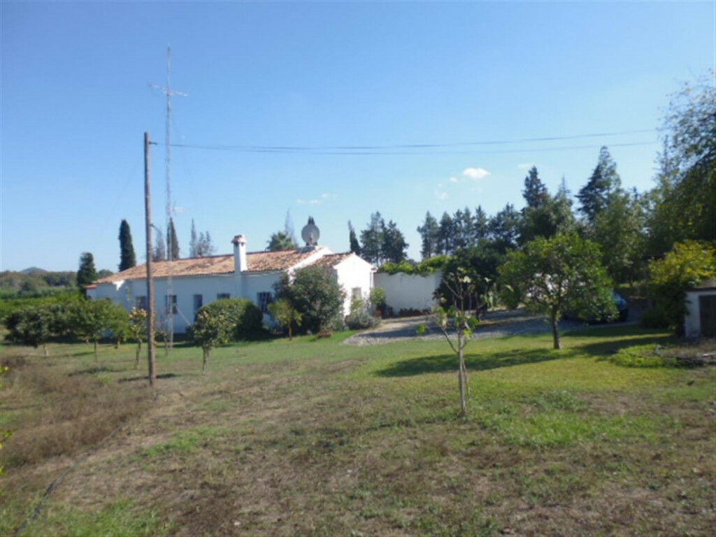 Finca - Cortijo Jimena de la Frontera Cádiz - image 11