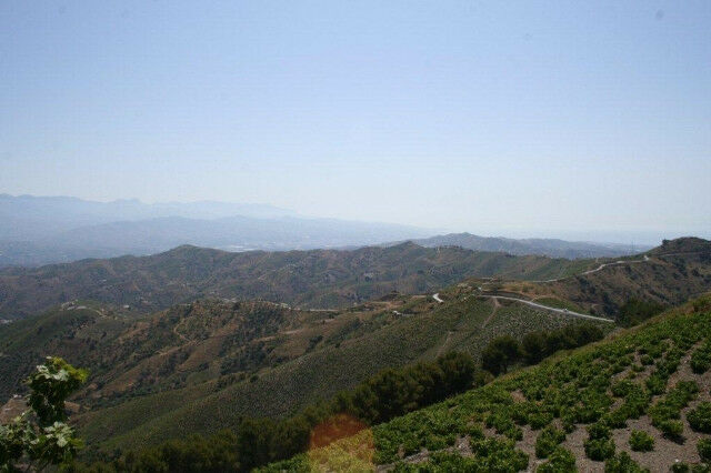 Finca - Cortijo El Borge Málaga - image 23