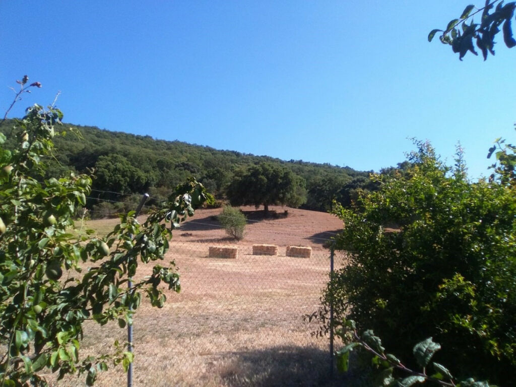 Finca - Cortijo Alcaucín Málaga - image 23