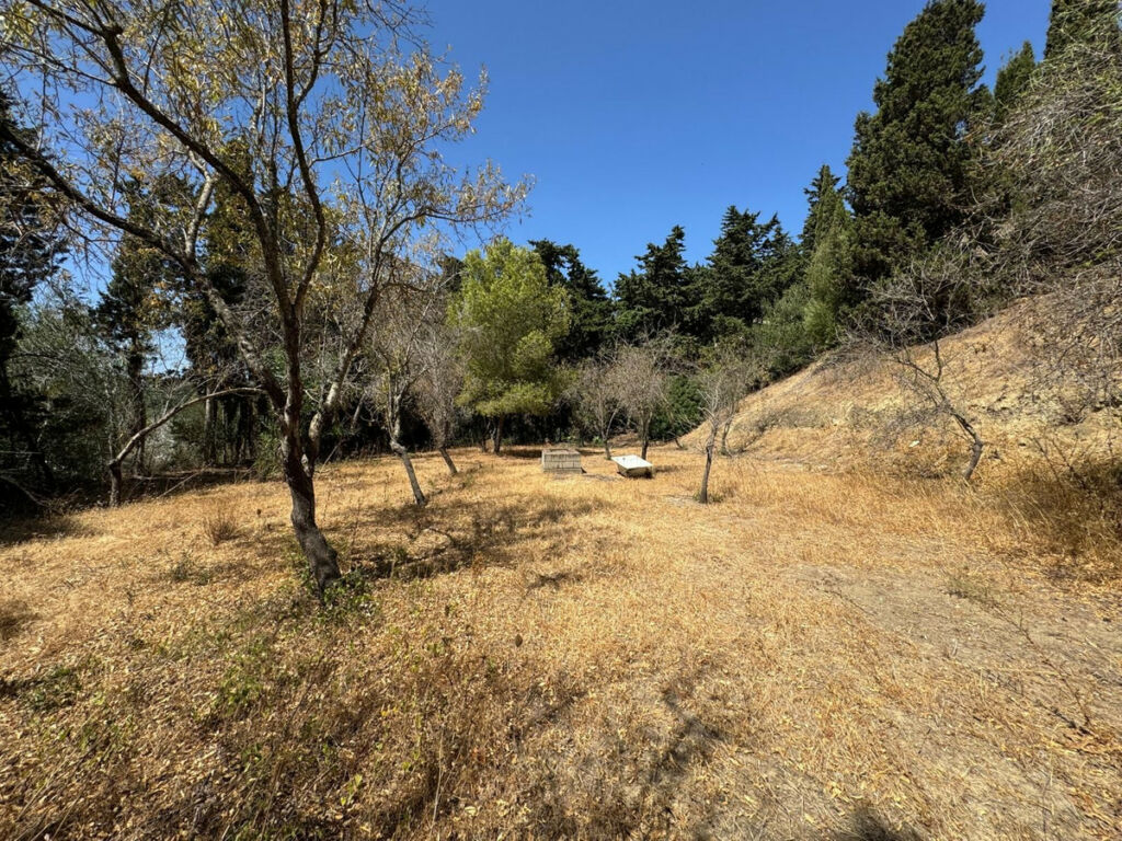Residential Plot San Roque Cádiz - image 23