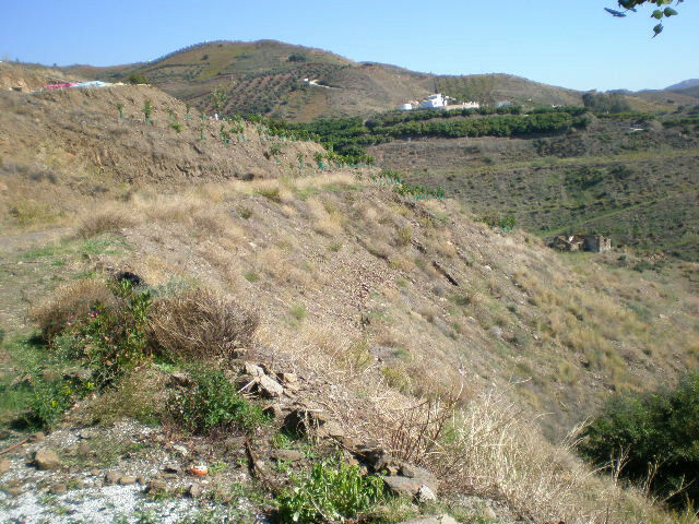Finca - Cortijo Vélez-Málaga Málaga - image 23