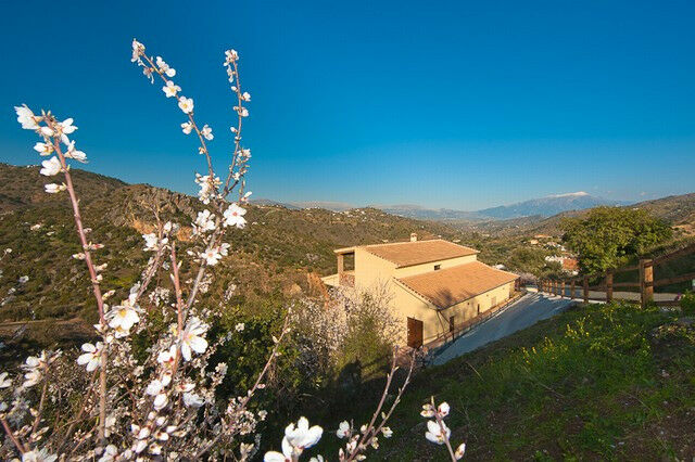 Detached Villa Comares Málaga - image 23