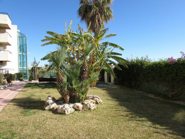 Ground Floor Apartment Benajarafe Málaga - image 24