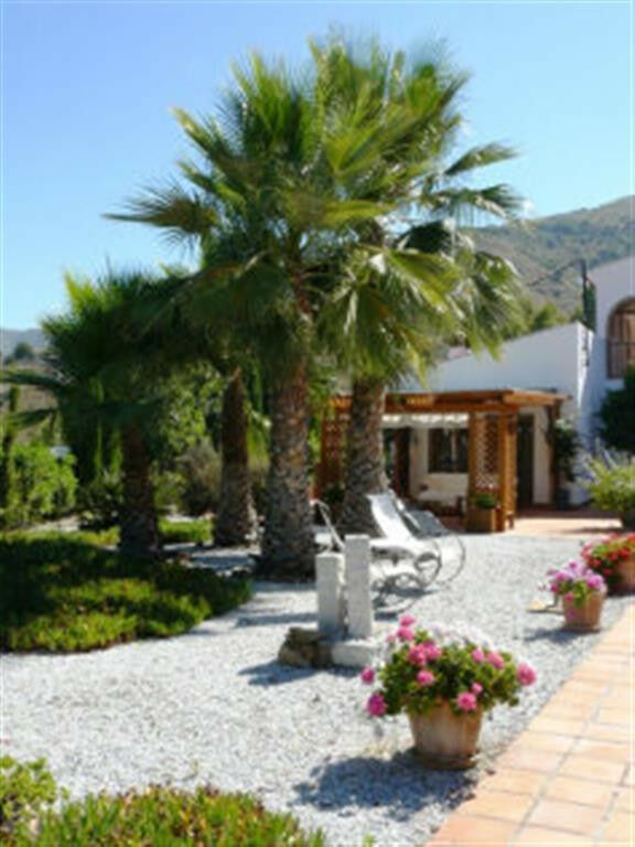 Detached Villa Torrox Málaga - image 24