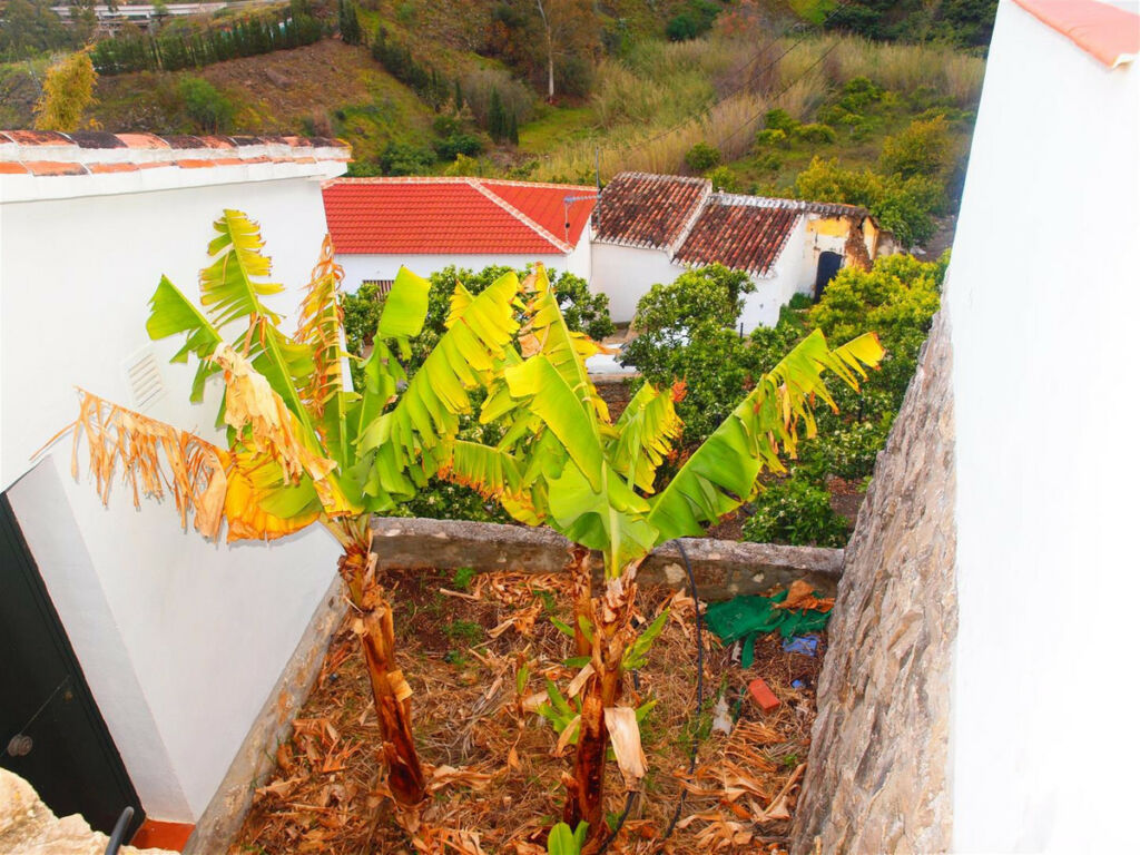 Finca - Cortijo Viñuela Málaga - image 24