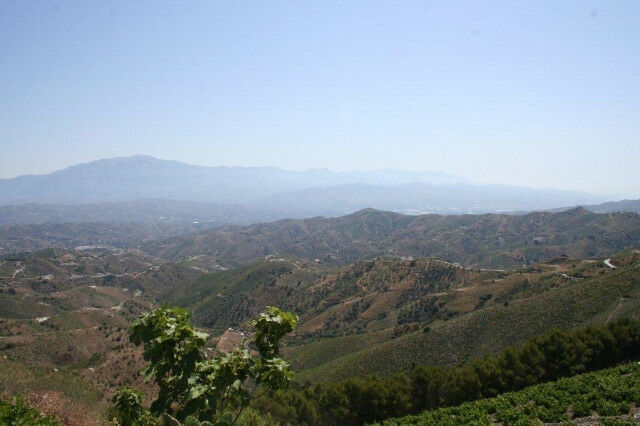 Finca - Cortijo El Borge Málaga - image 24