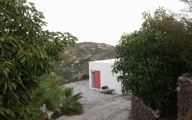 Finca - Cortijo Torrox Málaga - image 24