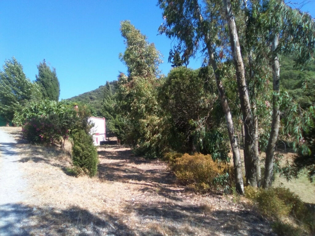 Finca - Cortijo Alcaucín Málaga - image 24