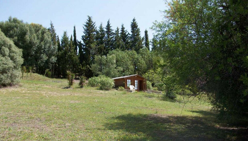 Finca - Cortijo Jimena de la Frontera Cádiz - image 24