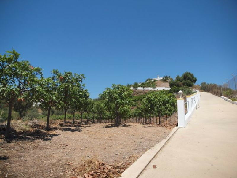 Detached Villa Benajarafe Málaga - image 24