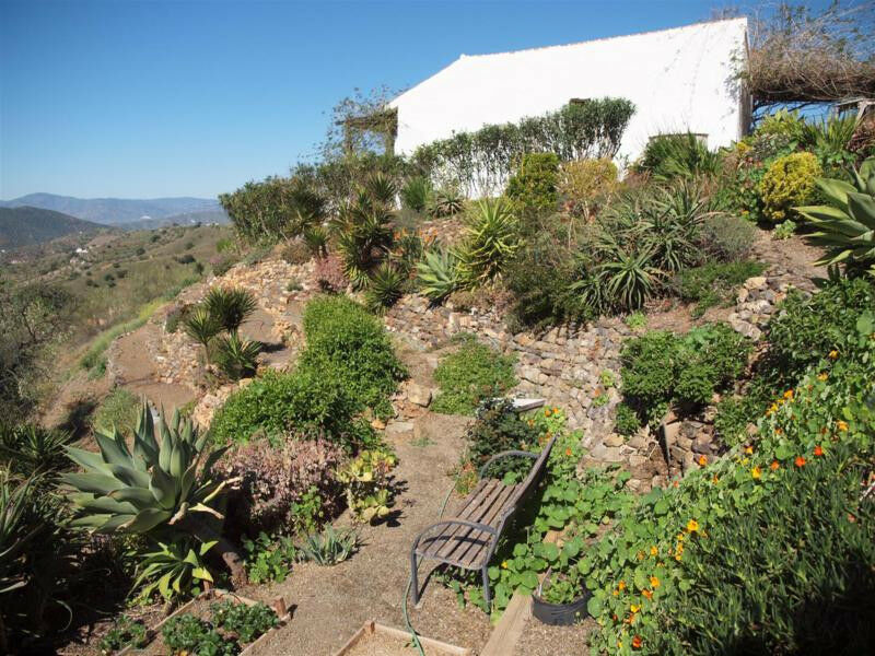Finca - Cortijo Sedella Málaga - image 25