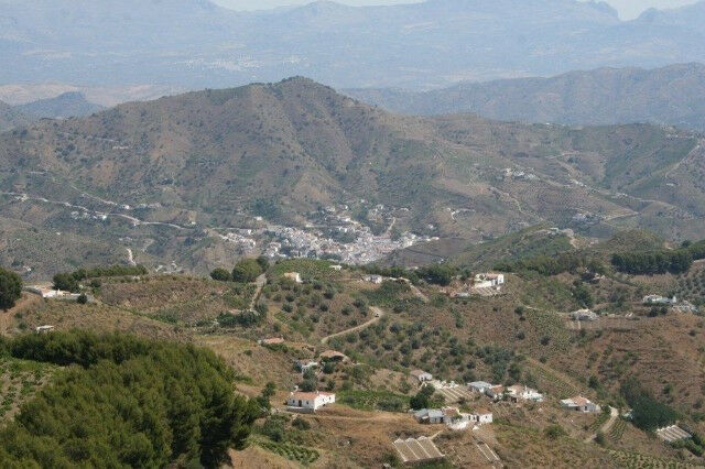 Finca - Cortijo El Borge Málaga - image 25