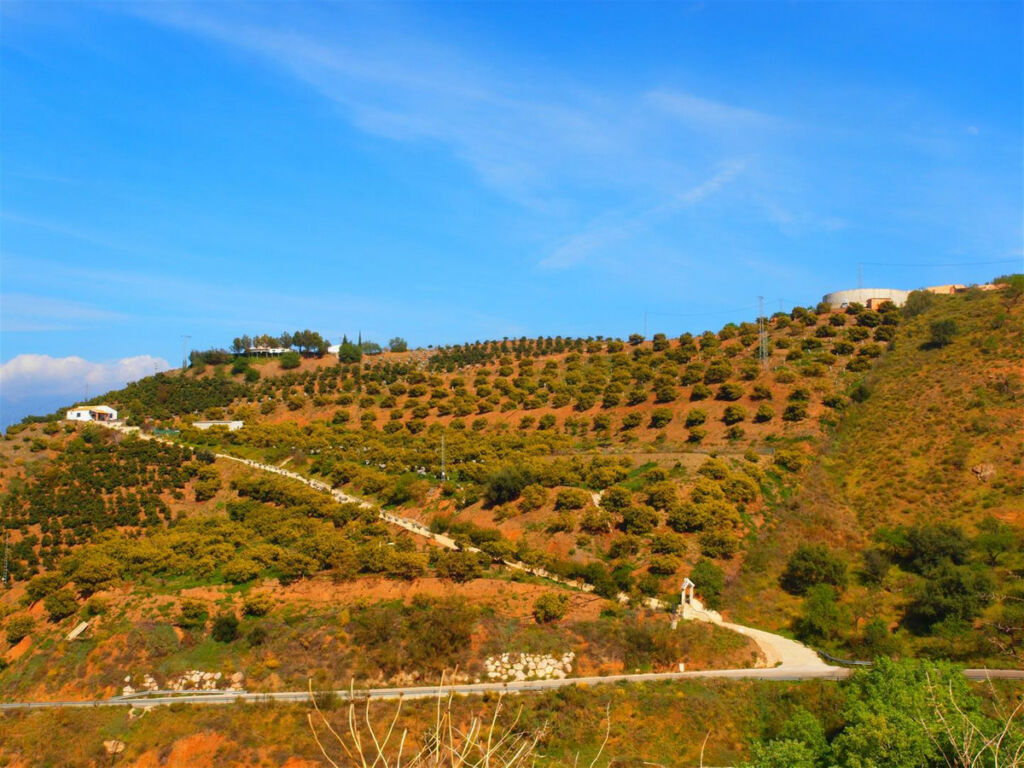 Finca - Cortijo Iznate Málaga - image 25