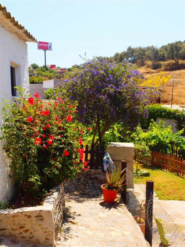 Finca - Cortijo Rincón de la Victoria Málaga - image 25