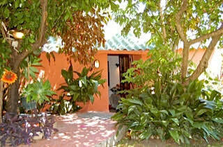 Finca - Cortijo Jimena de la Frontera Cádiz - image 25