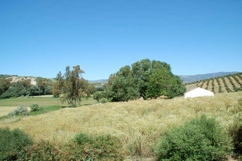 Detached Villa Jerez de la Frontera Cádiz - image 25