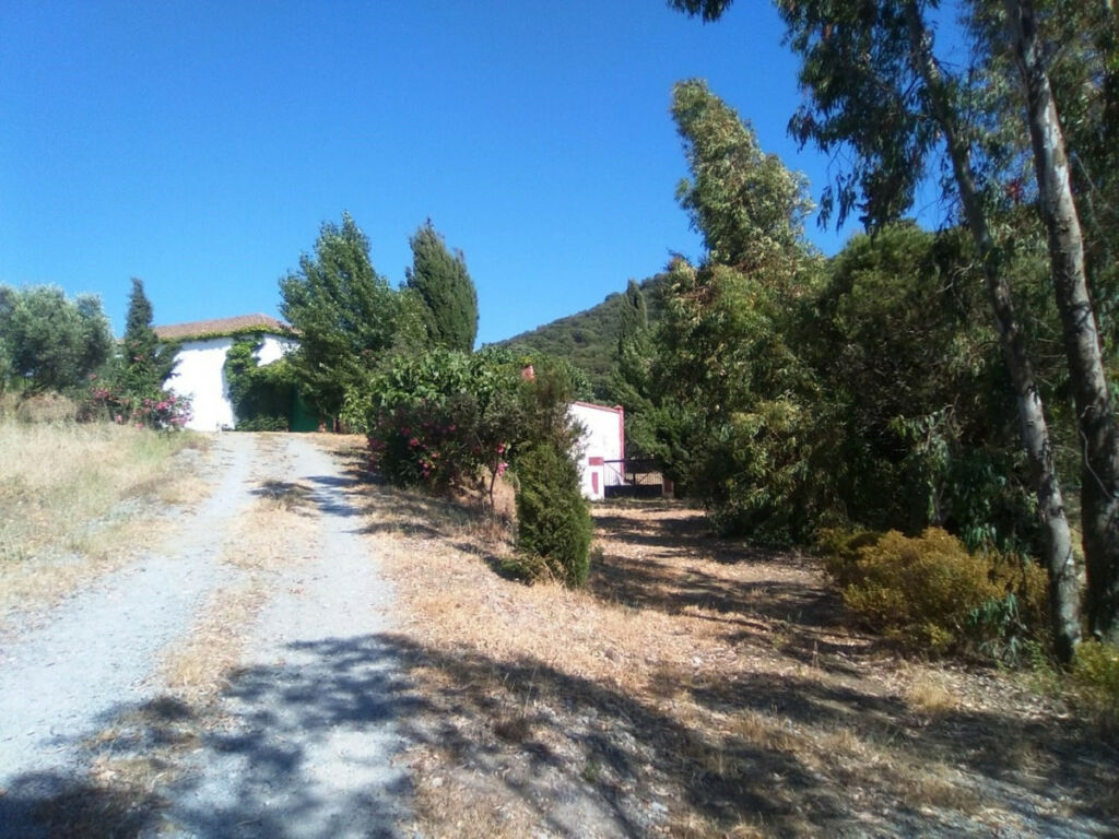 Finca - Cortijo Alcaucín Málaga - image 25