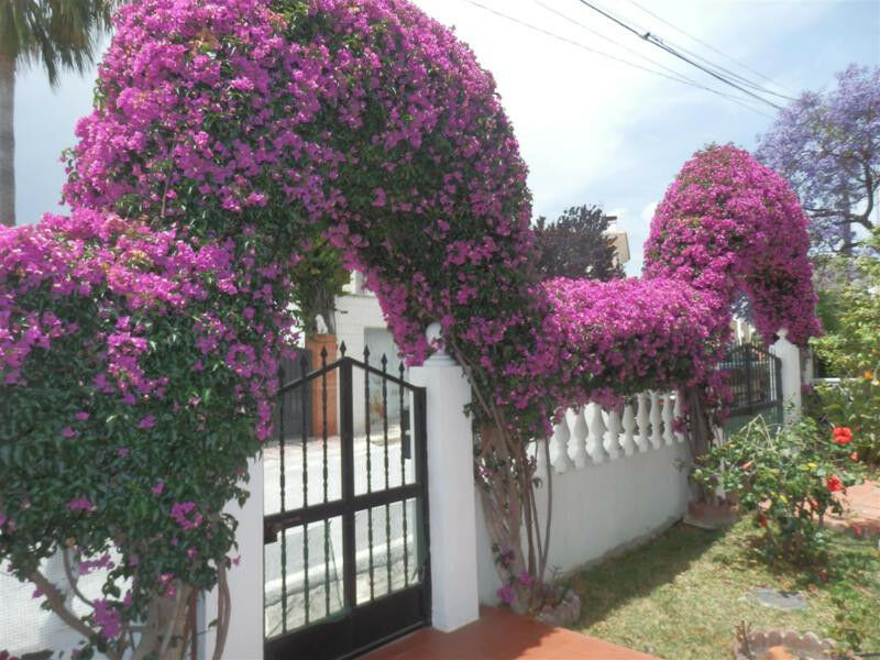 Detached Villa Chilches Málaga - image 26