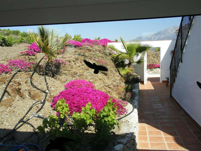 Detached Villa Cómpeta Málaga - image 26