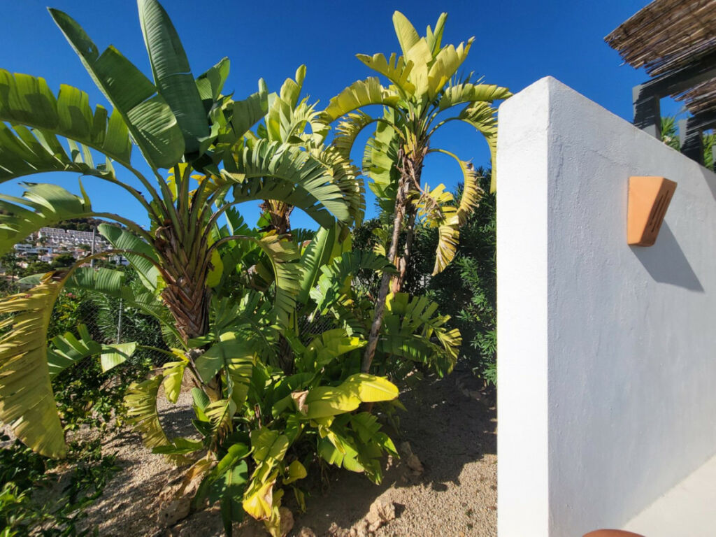 Detached Villa Calpe Alicante - image 27