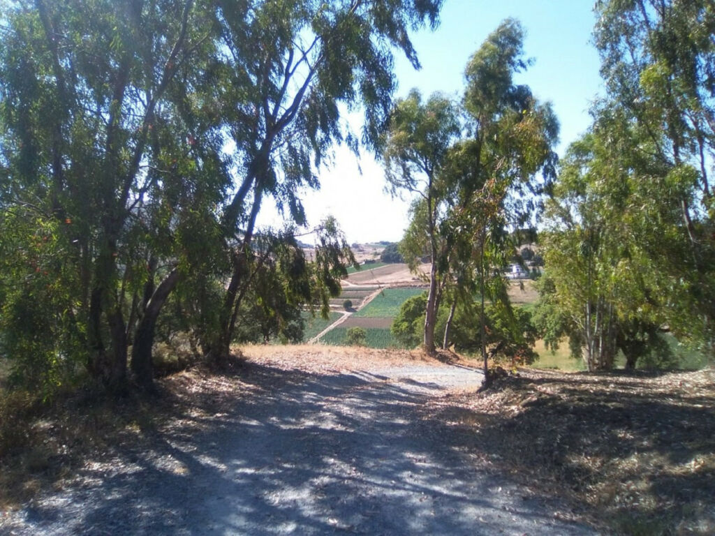 Finca - Cortijo Alcaucín Málaga - image 26